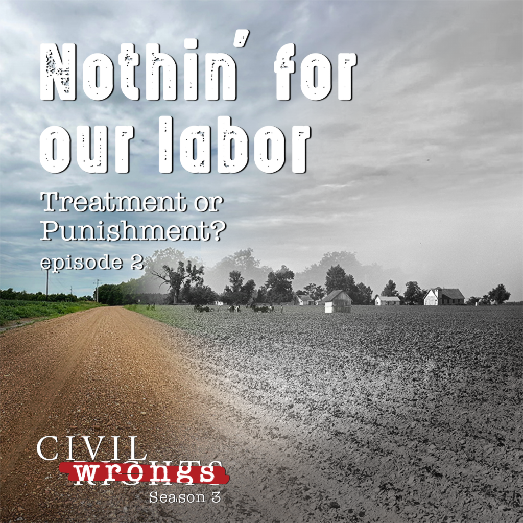Civil Wrongs - Season 3, Episode 2 podcast